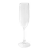 Akryl -Champagneglass