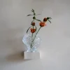 Canyon Vase – medium klar