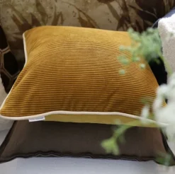 Corda Olive Pute