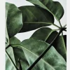 Green Home 01 50 x 70 cm