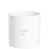 Lyslykt – Påskekos – stor