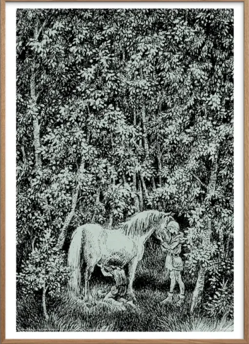 Poster -A Special Bond, Ronja Røverdatter