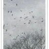 Poster -Natur -Crows