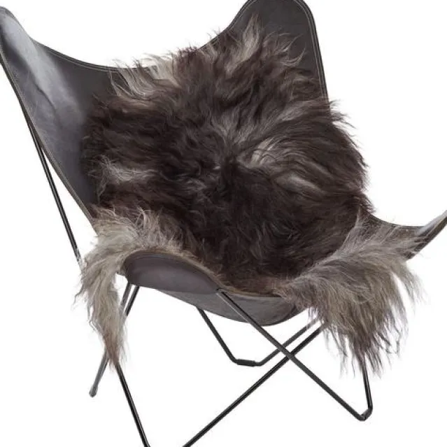 Saueskinn, langhåret – Iceland