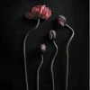 Still Life 02 50 x 70 cm