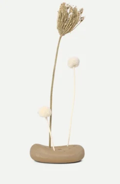 Vanitas flowerstone, sand